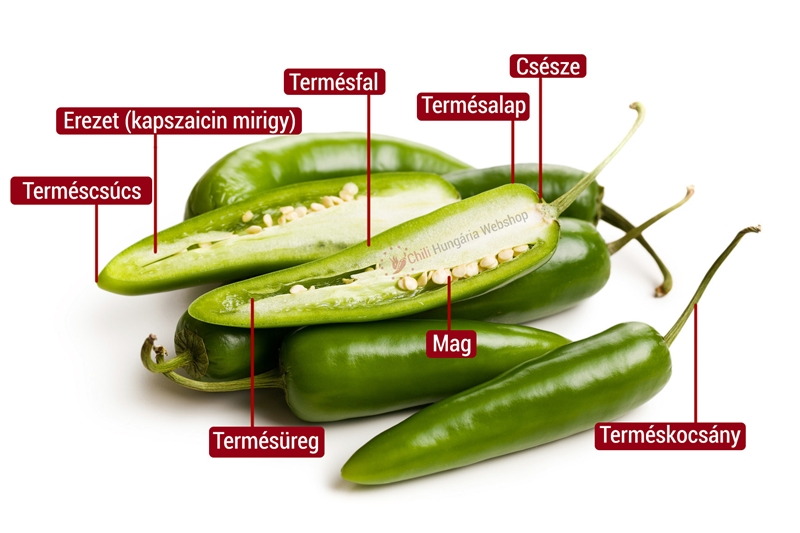 Jalapeno paprika